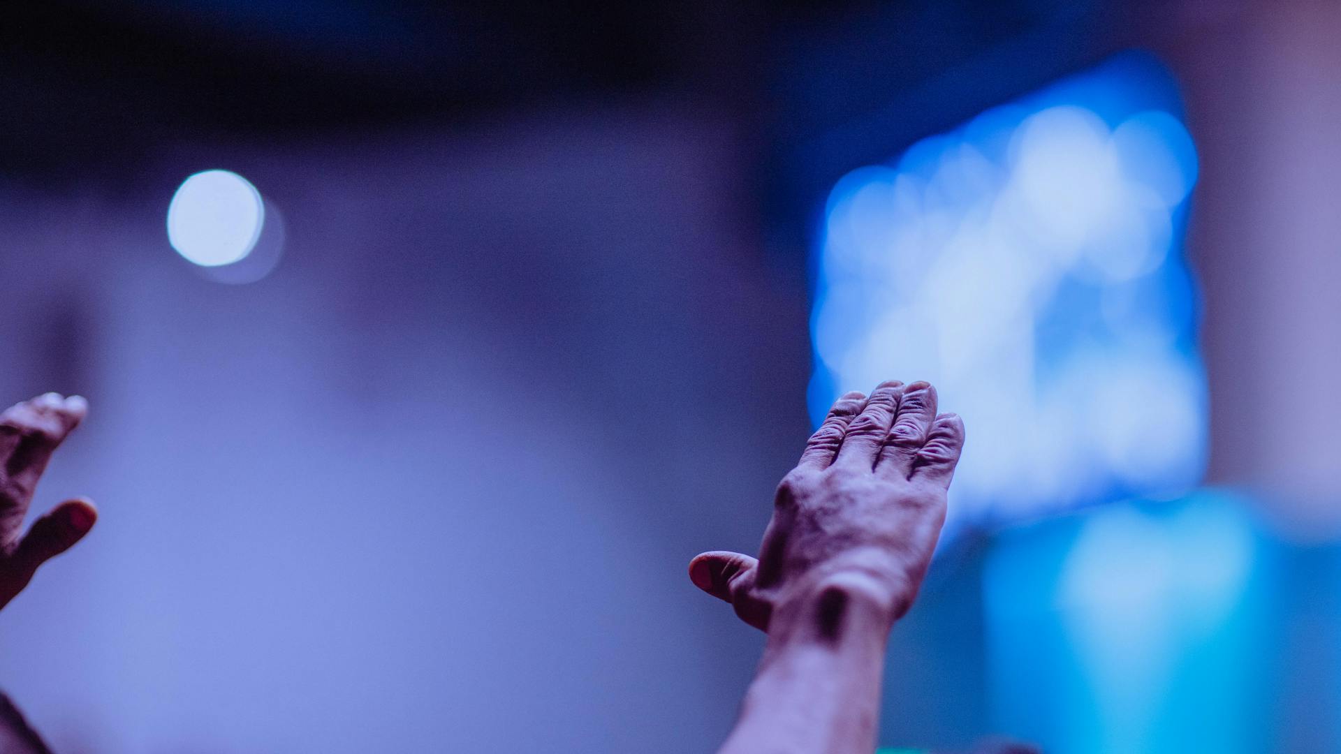 pexels-photo-2774551